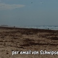 Schwipse2011-013