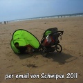 Schwipse2011-006