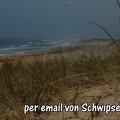 Schwipse2011-008