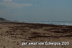 Schwipse2011-013